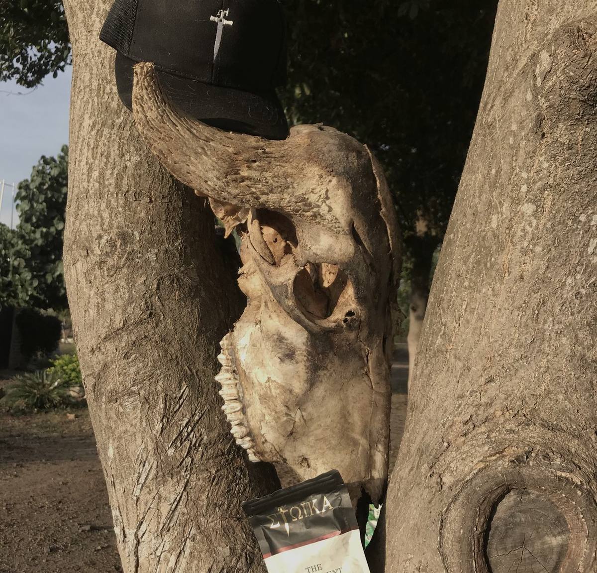 Rancho donde se cría el ganado de STOIKA